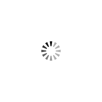 手持式 UV-C 紫外線殺菌燈